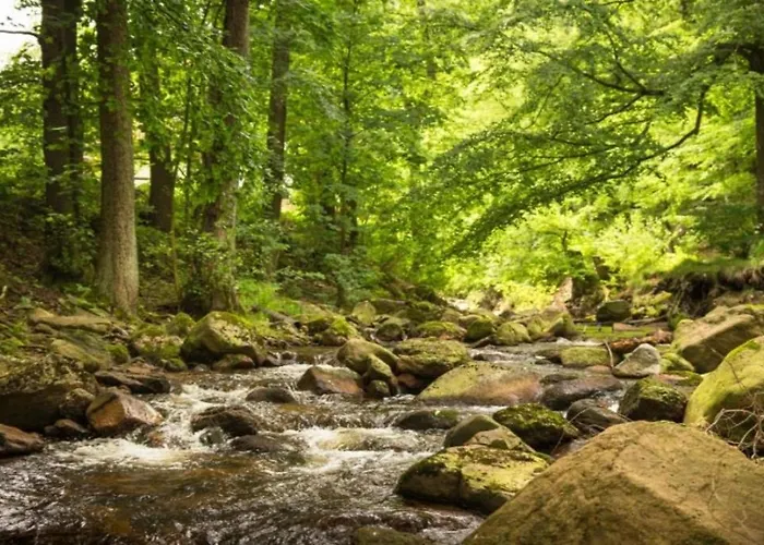 Nexoe, 65 Qm, 2 Schlafzimmer N8 *